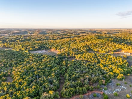Cedar Hills Hunting Farm 
