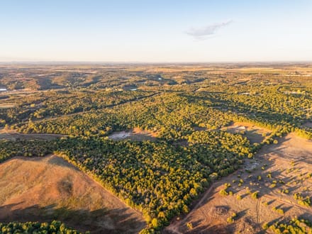 Cedar Hills Hunting Farm 