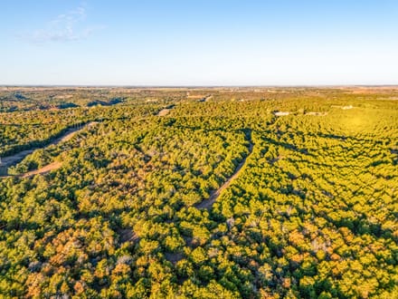 Cedar Hills Hunting Farm 