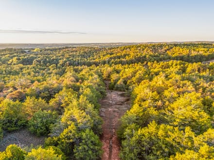 Cedar Hills Hunting Farm 