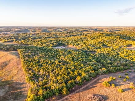 Cedar Hills Hunting Farm 