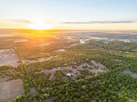 Cedar Hills Hunting Farm 