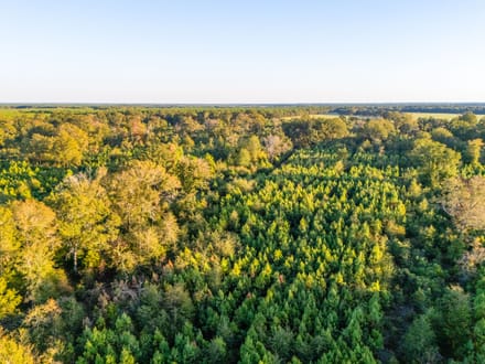 Tract 4 Pecan Bayou Farms 