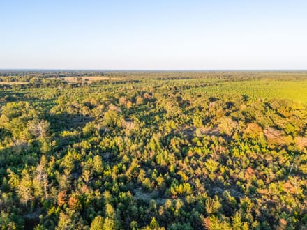 Tract 4 Pecan Bayou Farms 