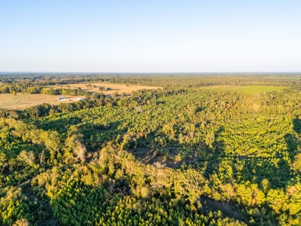 Tract 4 Pecan Bayou Farms 