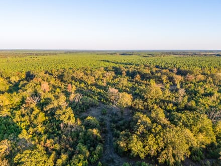 Tract 4 Pecan Bayou Farms 