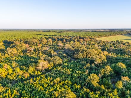 Tract 4 Pecan Bayou Farms 