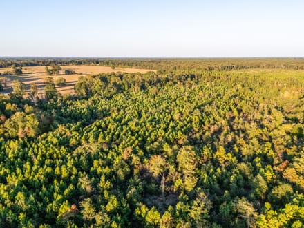 Tract 4 Pecan Bayou Farms 