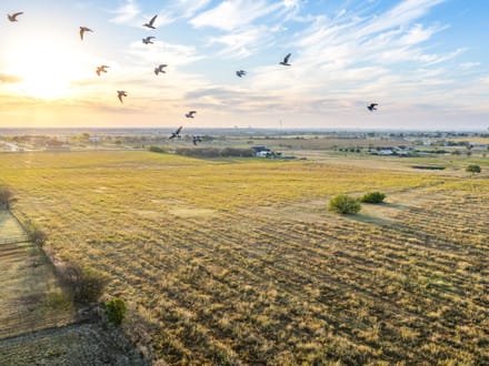 Krum Development Acreage