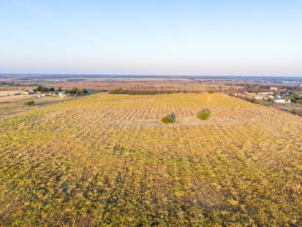 Krum Development Acreage
