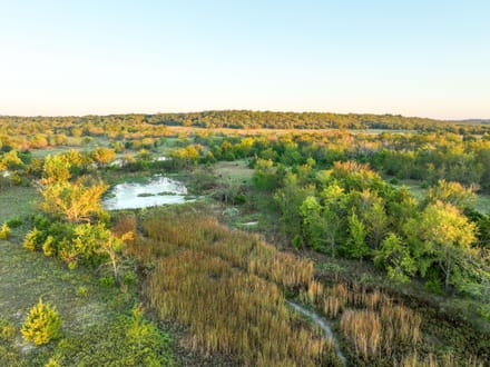 Timber & Marsh Hunting Farm 