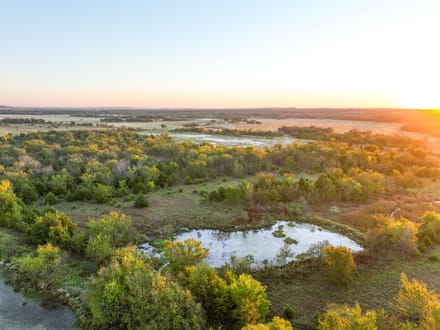 Timber & Marsh Hunting Farm 