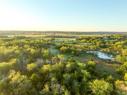 Timber & Marsh Hunting Farm 
