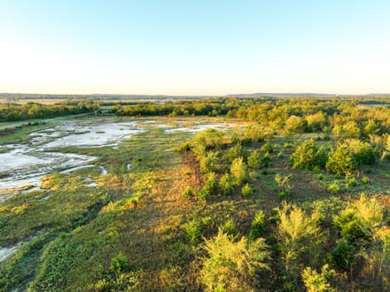 Timber & Marsh Hunting Farm 