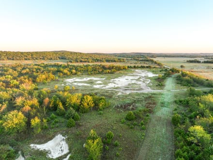 Timber & Marsh Hunting Farm 