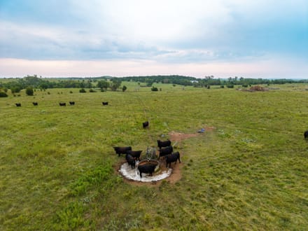 RRR Ranch