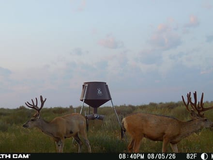 High Plains Hunting Farm