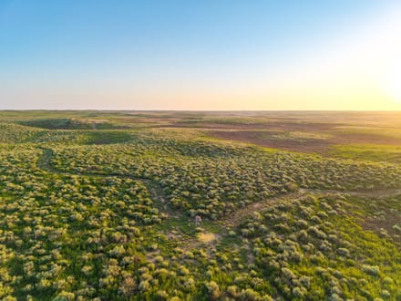 High Plains Hunting Farm