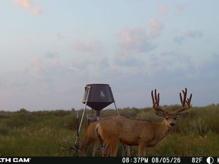 High Plains Hunting Farm
