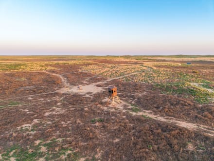 High Plains Hunting Farm