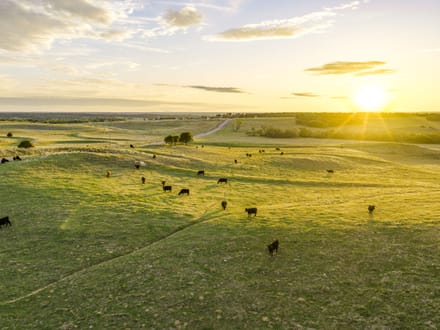 Boggy Creek Ranch 