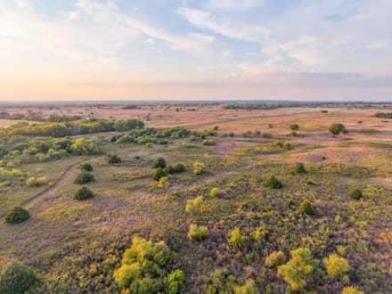 Tract 1 Cottonwood Homestead 