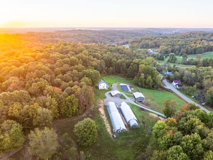 Pleasant Valley Greenhouses & Homestead 
