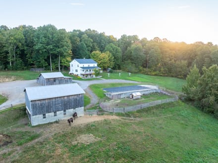 Pleasant Valley Greenhouses & Homestead 