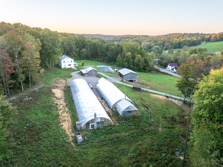 Pleasant Valley Greenhouses & Homestead 