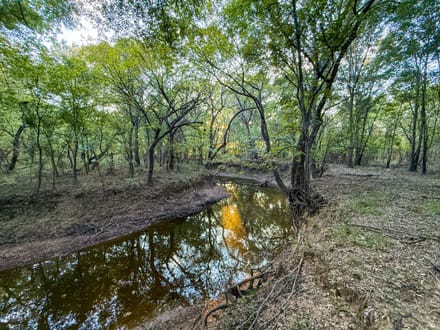 Brier Creek Hunting/Rec Farm