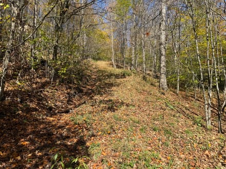 0 Smith Rd, Eldred, PA 
