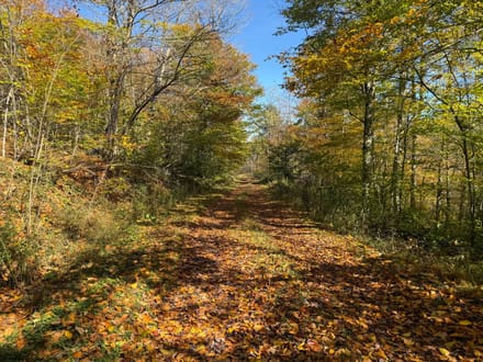 0 Smith Rd, Eldred, PA 