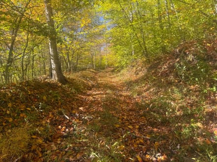 0 Smith Rd, Eldred, PA 