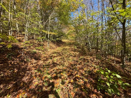 0 Smith Rd, Eldred, PA 