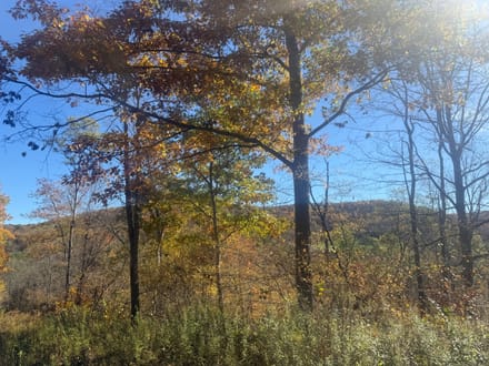 0 Smith Rd, Eldred, PA 