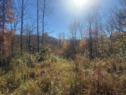 0 Smith Rd, Eldred, PA 