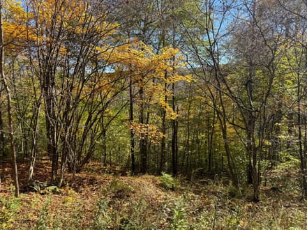 0 Smith Rd, Eldred, PA 