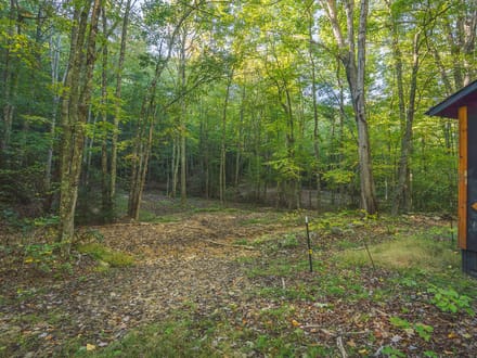 Recreational Land for Sale in Hiwassee, VA! 