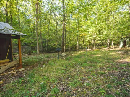 Recreational Land for Sale in Hiwassee, VA! 