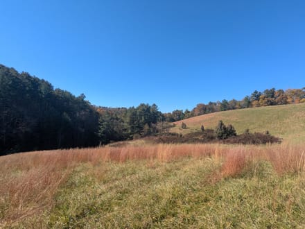 Land for Sale in Indian Valley, VA!