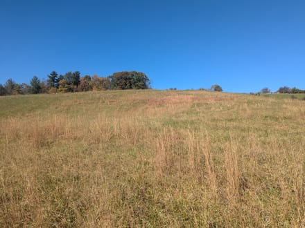 Land for Sale in Indian Valley, VA!