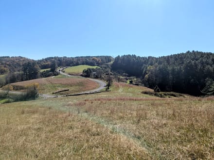 Land for Sale in Indian Valley, VA!