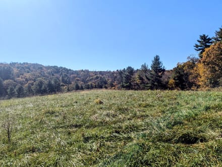 Land for Sale in Indian Valley, VA!