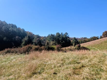 Land for Sale in Indian Valley, VA!