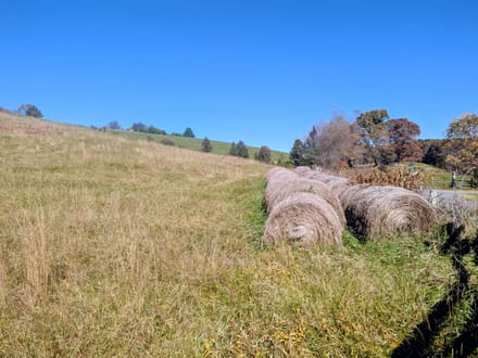 Land for Sale in Indian Valley, VA!