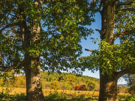 Offering #2 - +/- 13 AC 