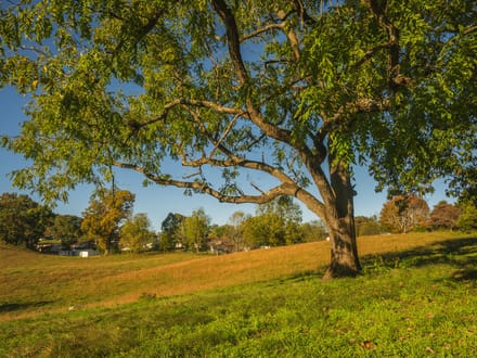 Offering #2 - +/- 13 AC 