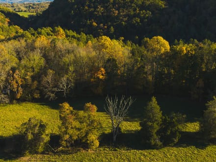 Offering #2 - +/- 13 AC 