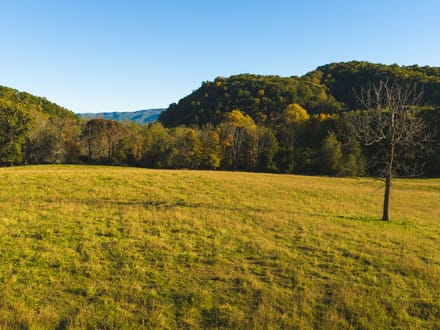 Offering #2 - +/- 13 AC 