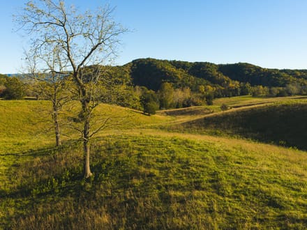 Offering #2 - +/- 13 AC 